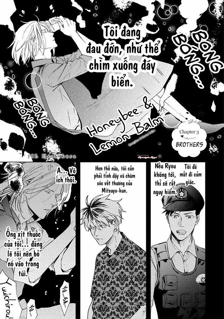 Ong Mật Và Tía Tô Đất 3 trang 1
