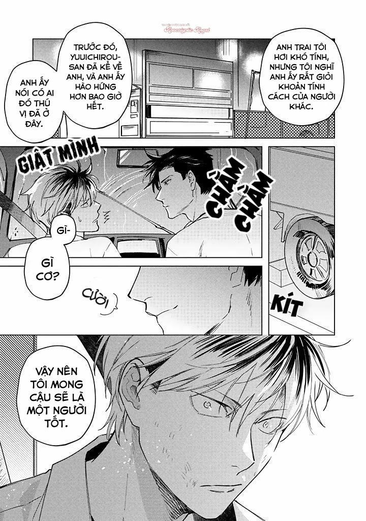 Ong Mật Và Tía Tô Đất 3 trang 11