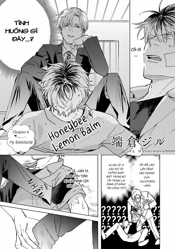 Ong Mật Và Tía Tô Đất 4 trang 1