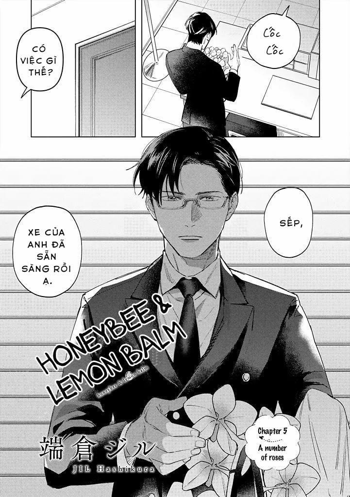 Ong Mật Và Tía Tô Đất 5 trang 1