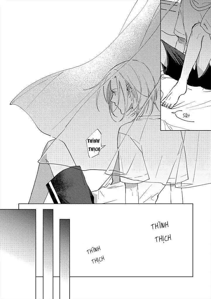 Ong Mật Và Tía Tô Đất 8 trang 16