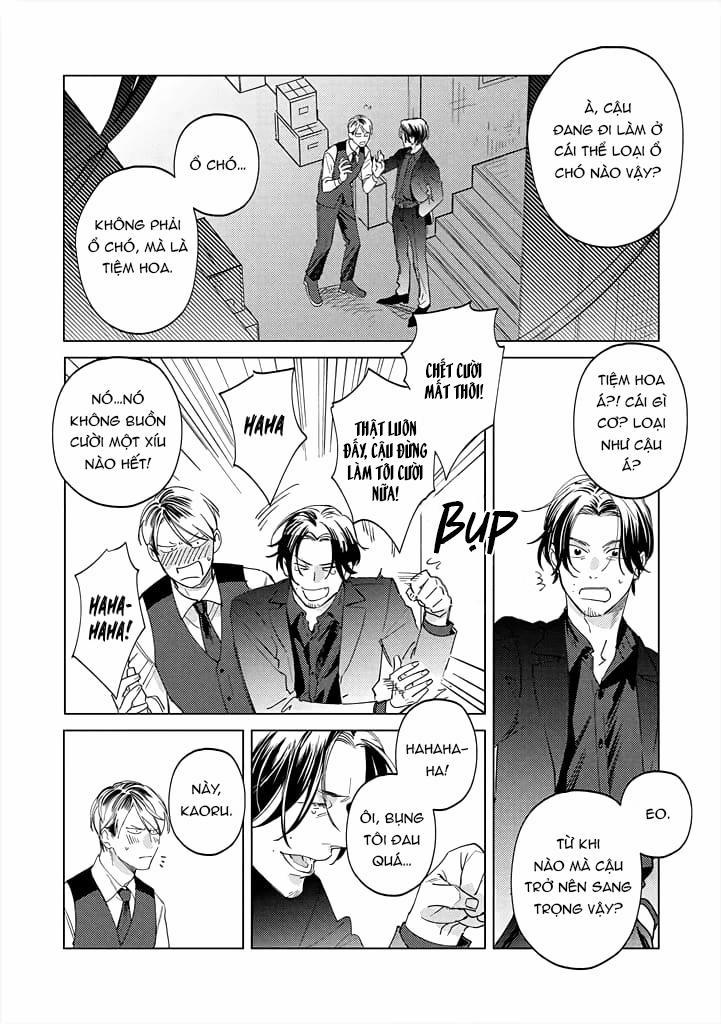 Ong Mật Và Tía Tô Đất 9 trang 14