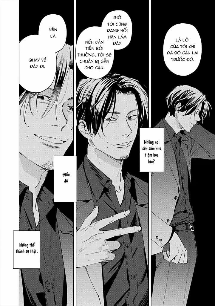 Ong Mật Và Tía Tô Đất 9 trang 16