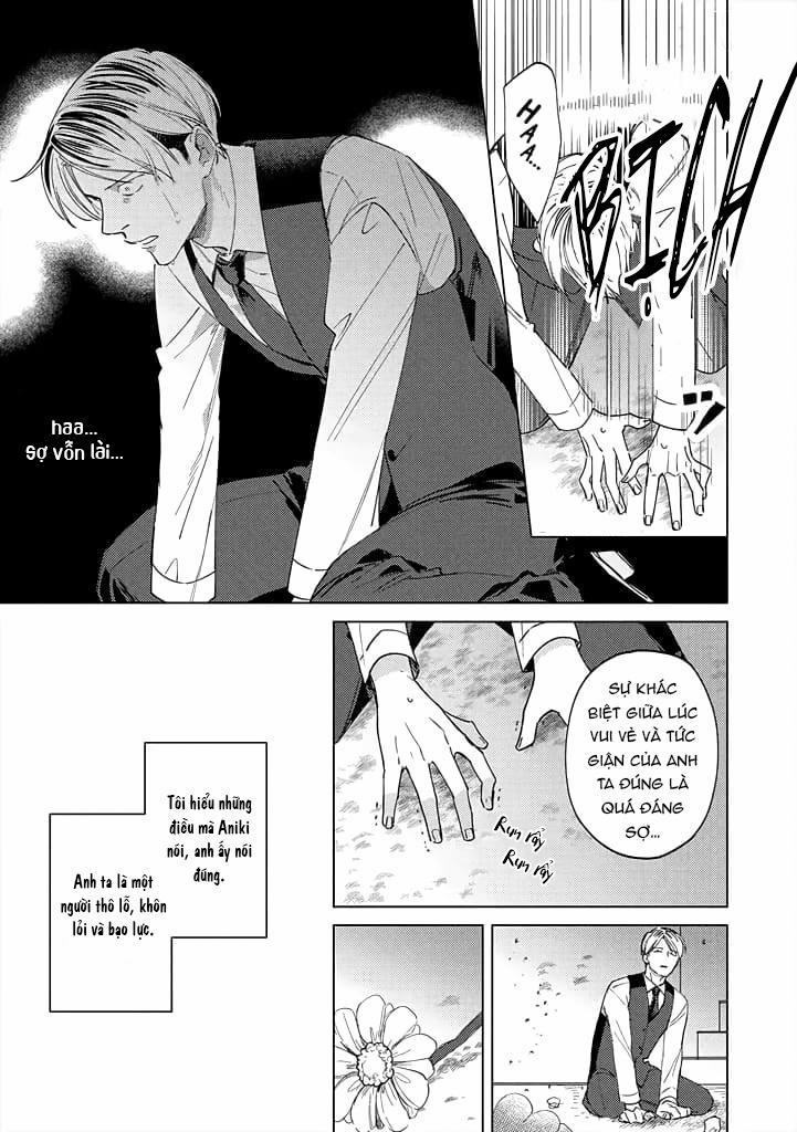 Ong Mật Và Tía Tô Đất 9 trang 23