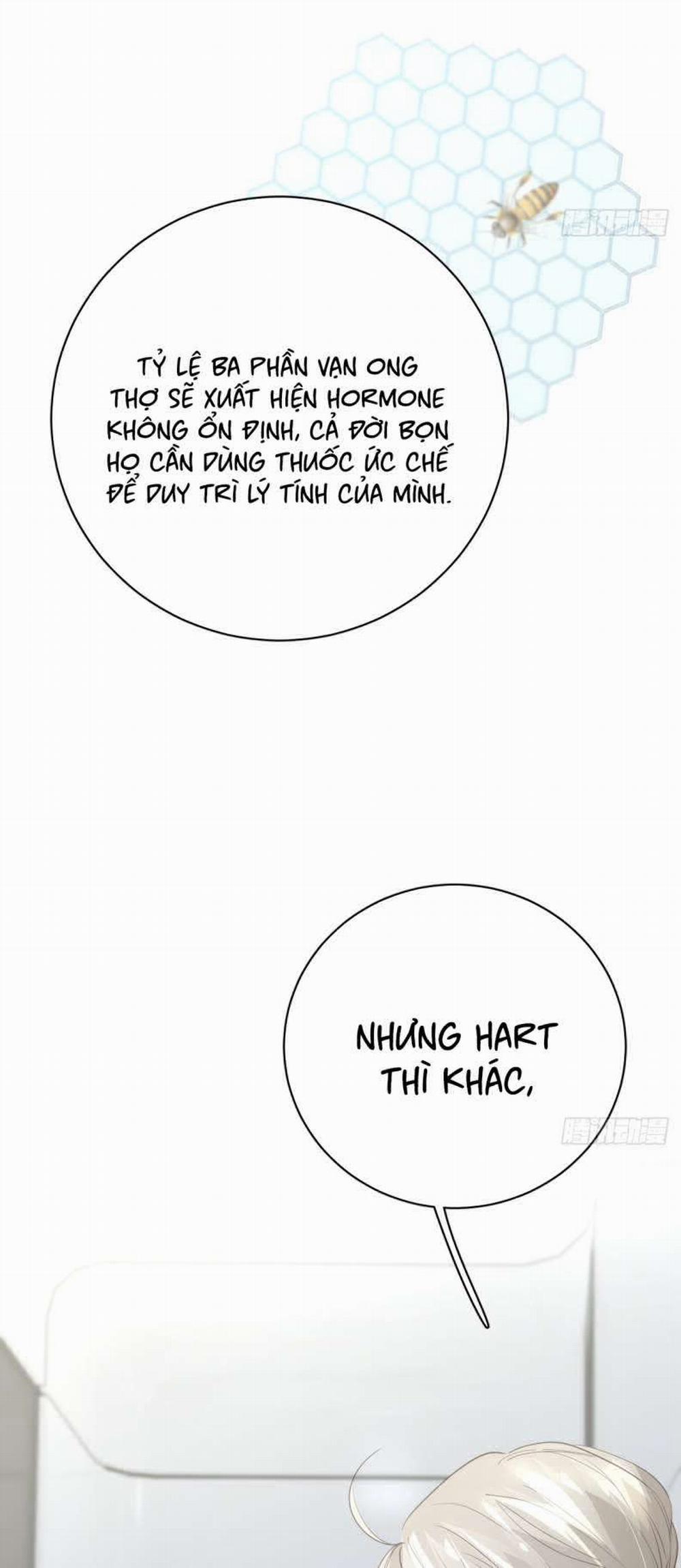 Ong Thợ 11 trang 16