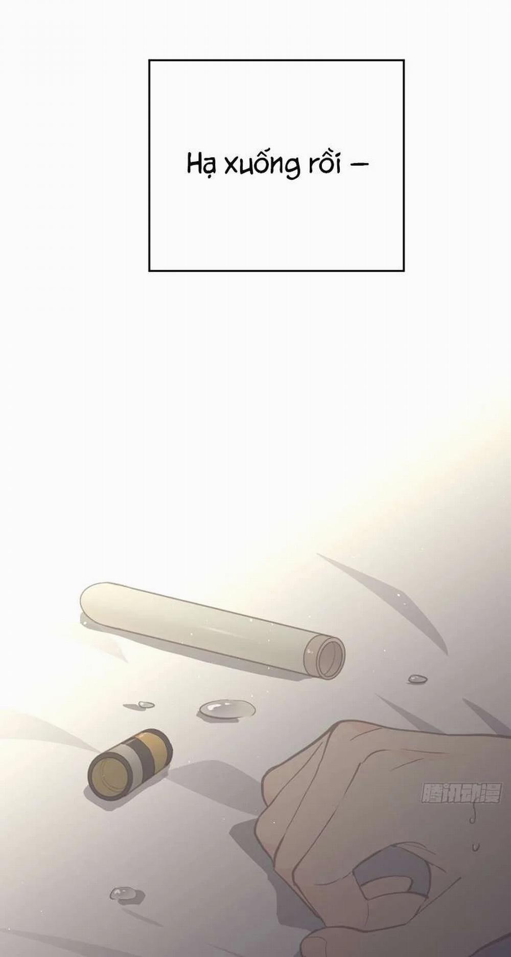 Ong Thợ 15 trang 19