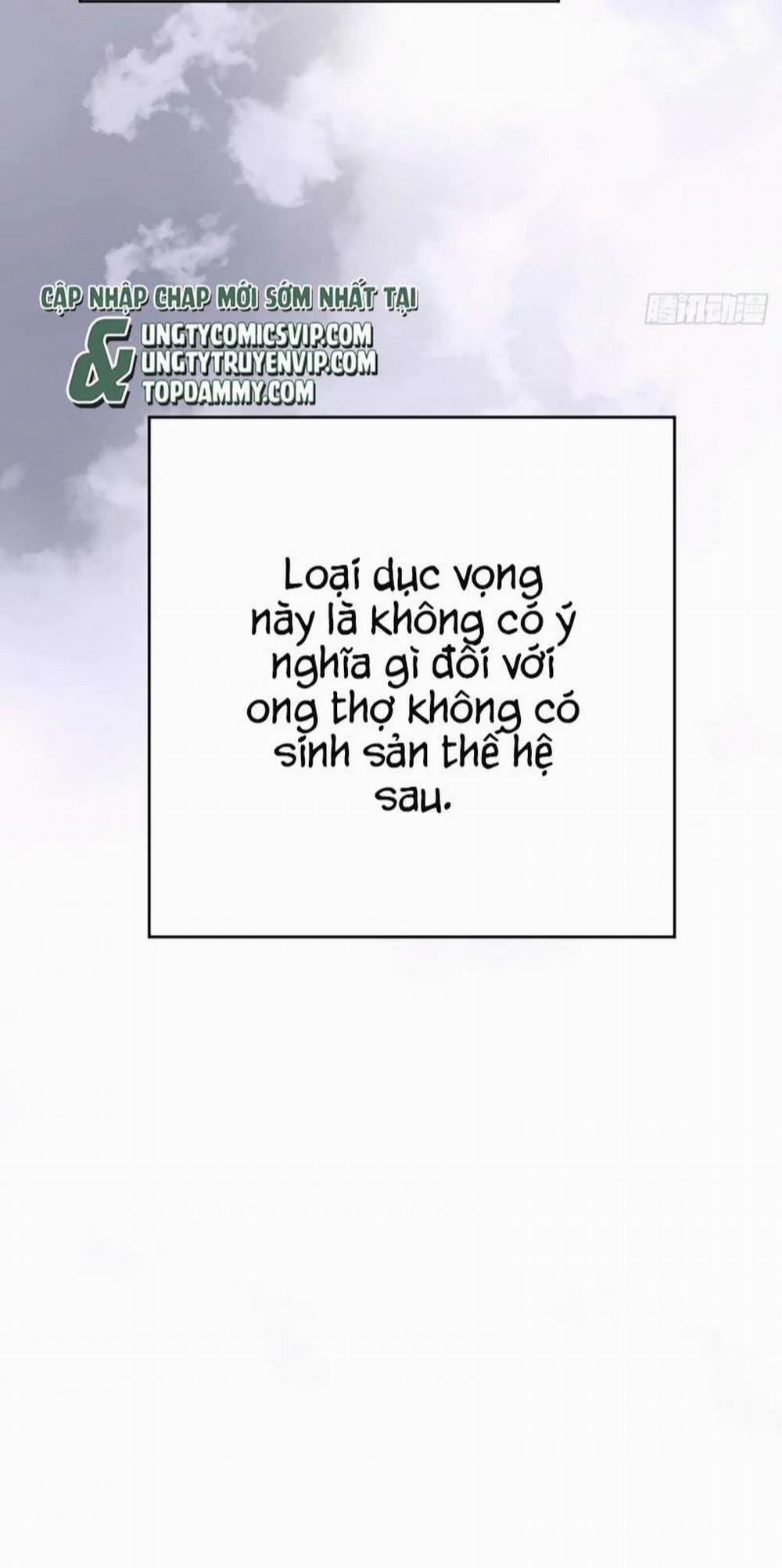 Ong Thợ 15 trang 35