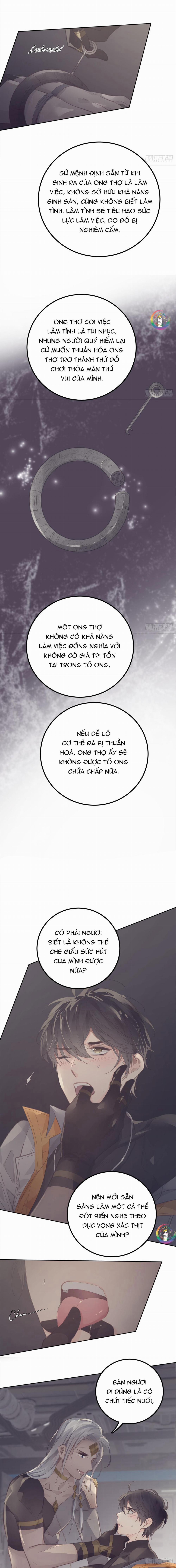 Ong Thợ 20 H+ trang 3