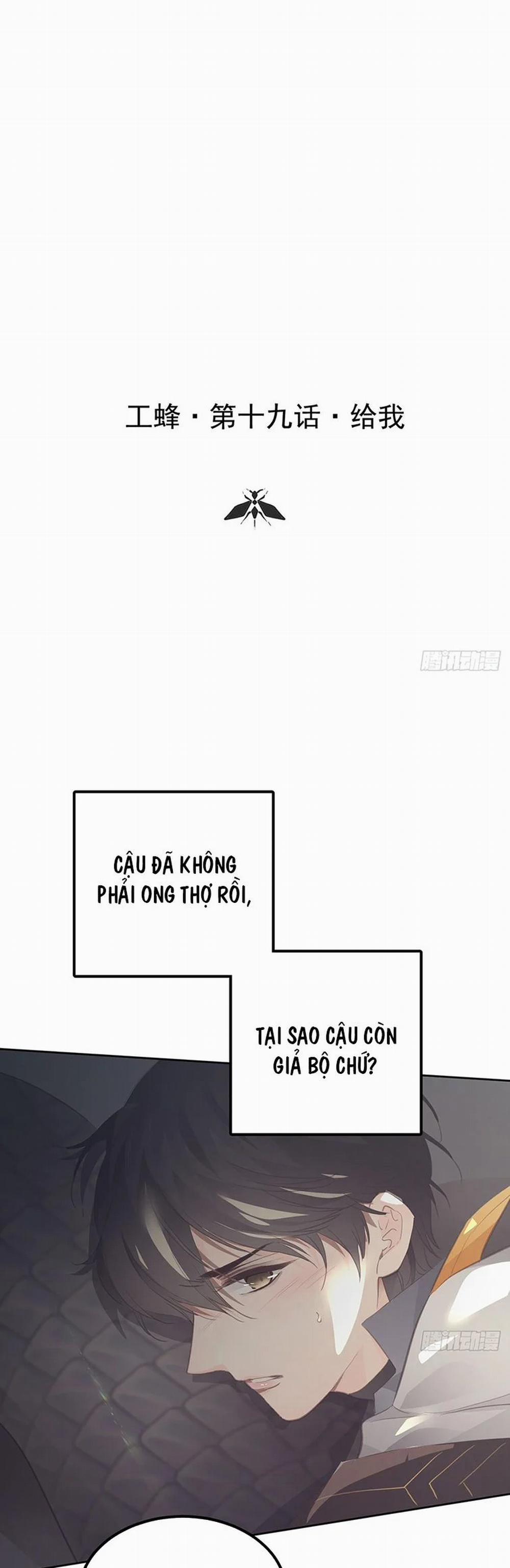 Ong Thợ 20 trang 1