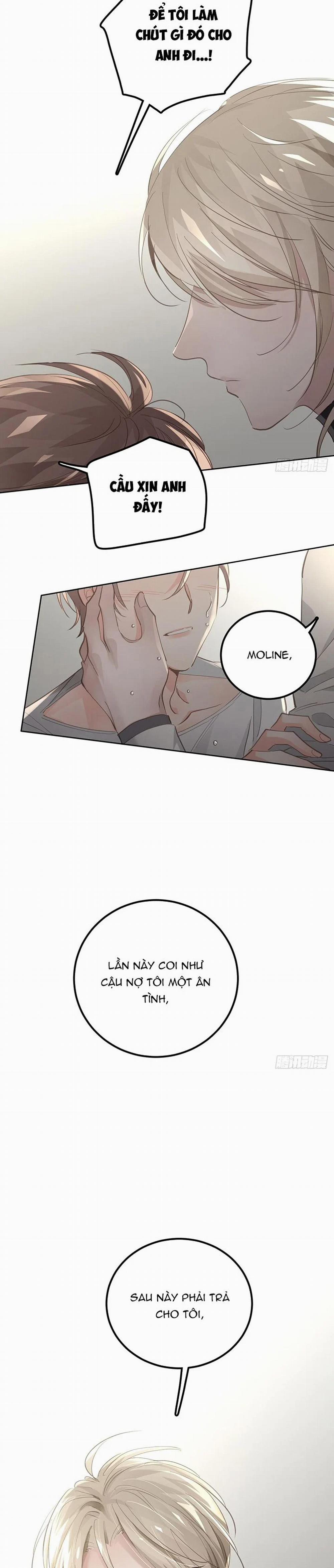 Ong Thợ 29 trang 13