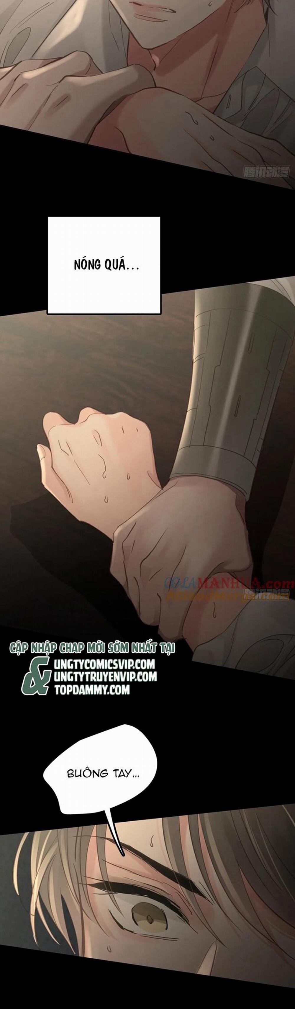 Ong Thợ 37 trang 15