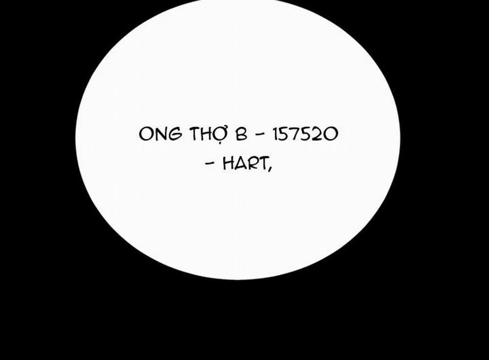 Ong Thợ 37 trang 32