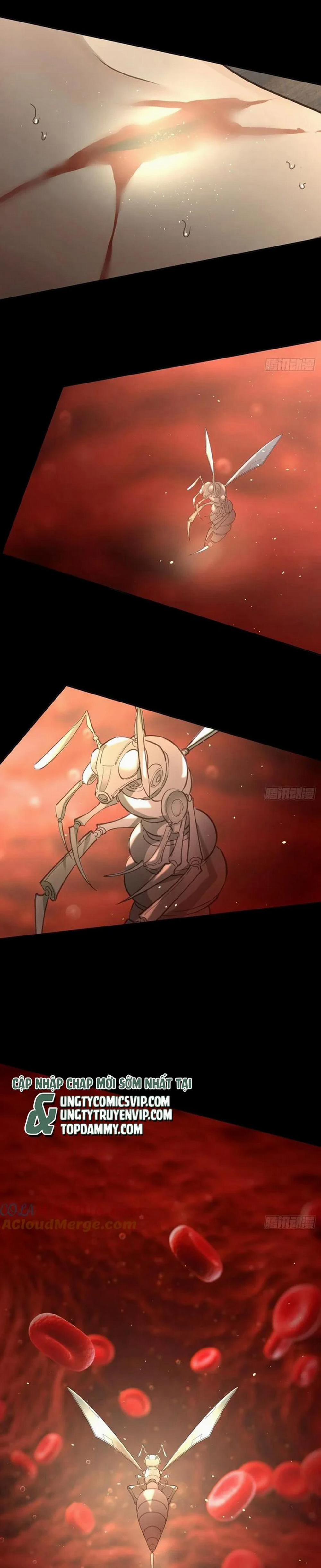 Ong Thợ 38 trang 8