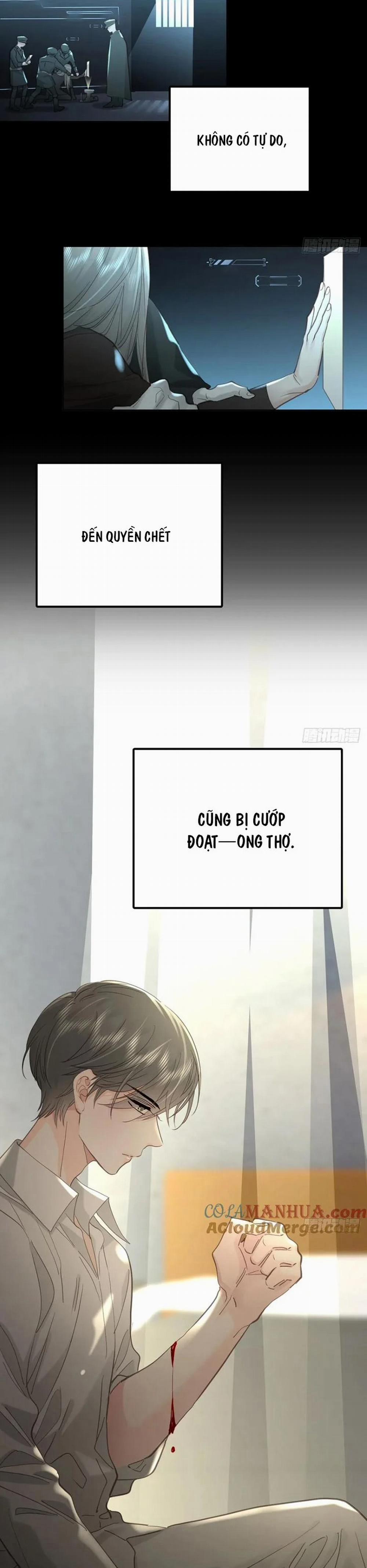 Ong Thợ 39 trang 11