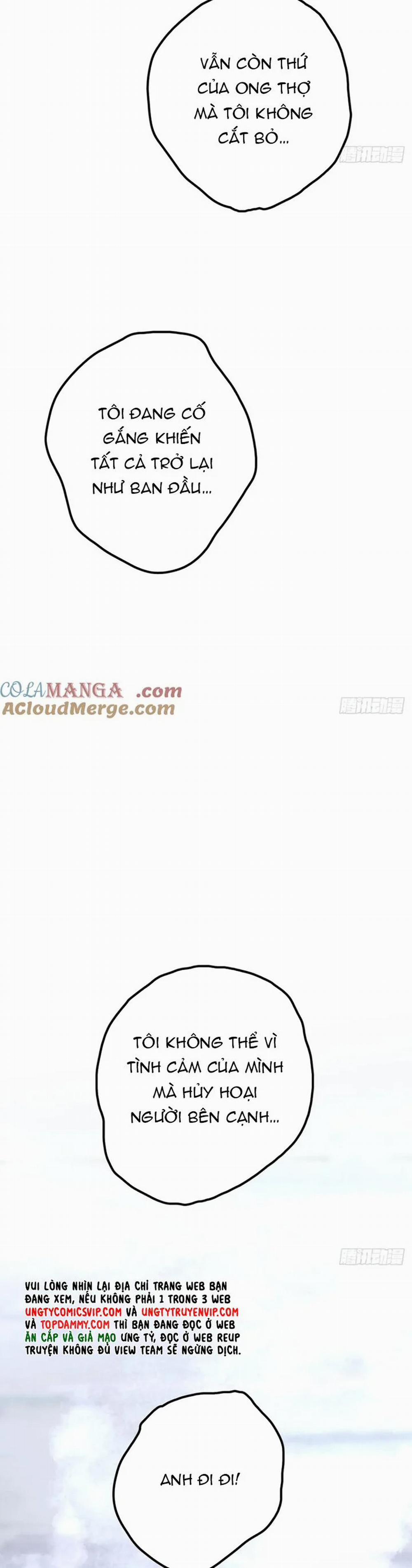 Ong Thợ 44 trang 17