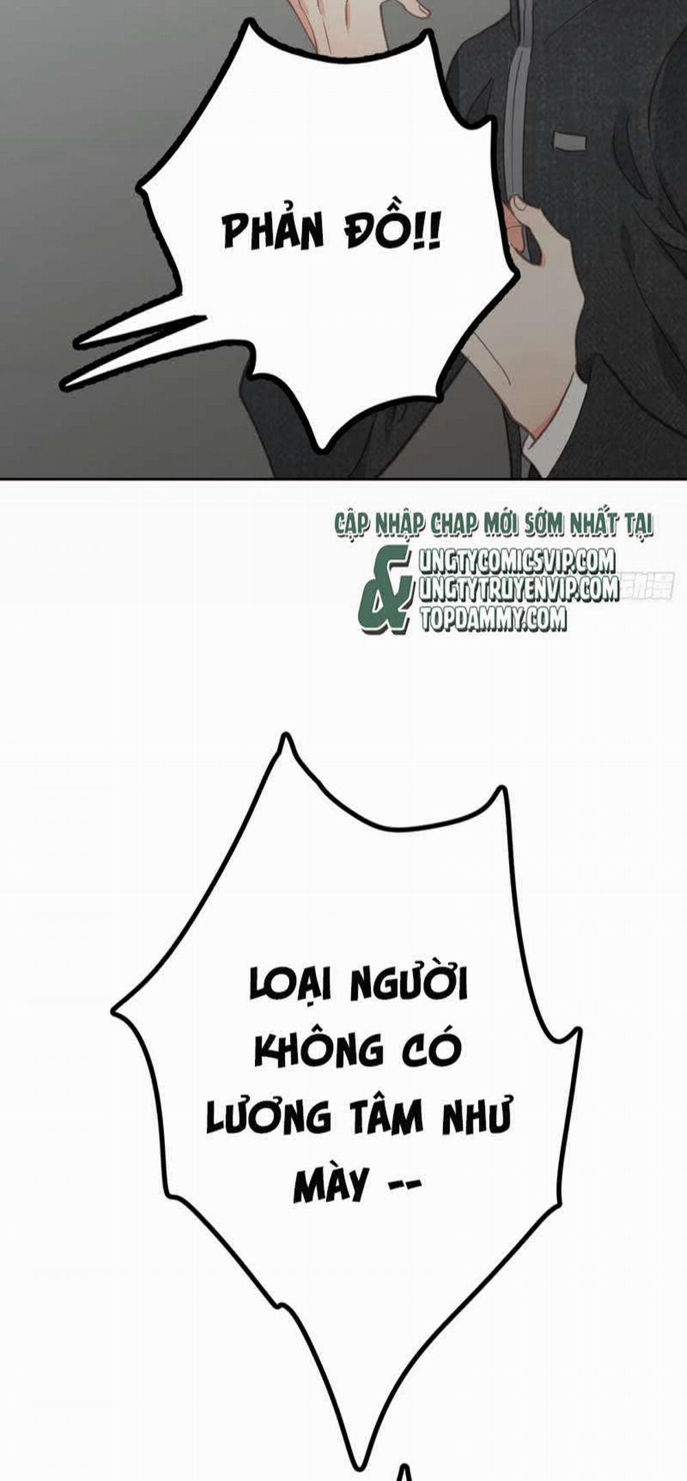 Ong Thợ 5 trang 42