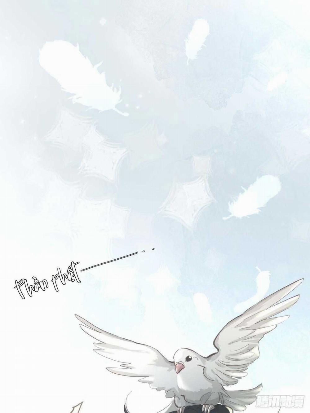 Ong Thợ 54 trang 45