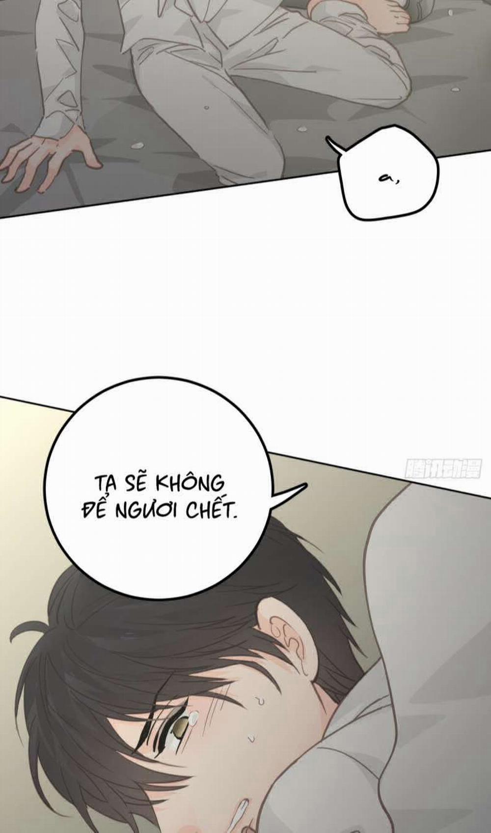 Ong Thợ 7 trang 37