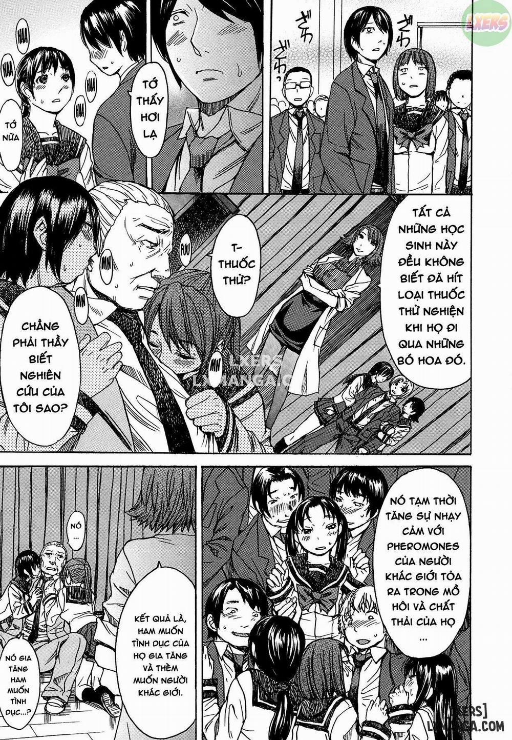 Only Feet 5 trang 13