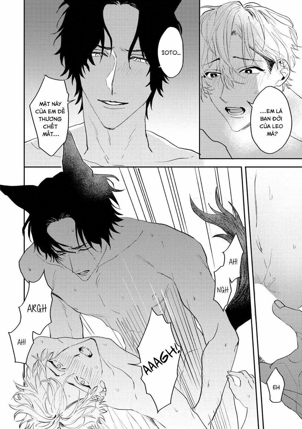 Ookami no Bonitoo 5 trang 19