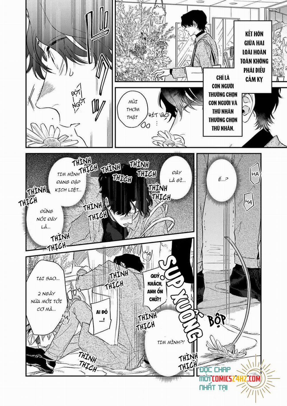 Ookami-sama no Ichizu na Bouai 1 trang 11
