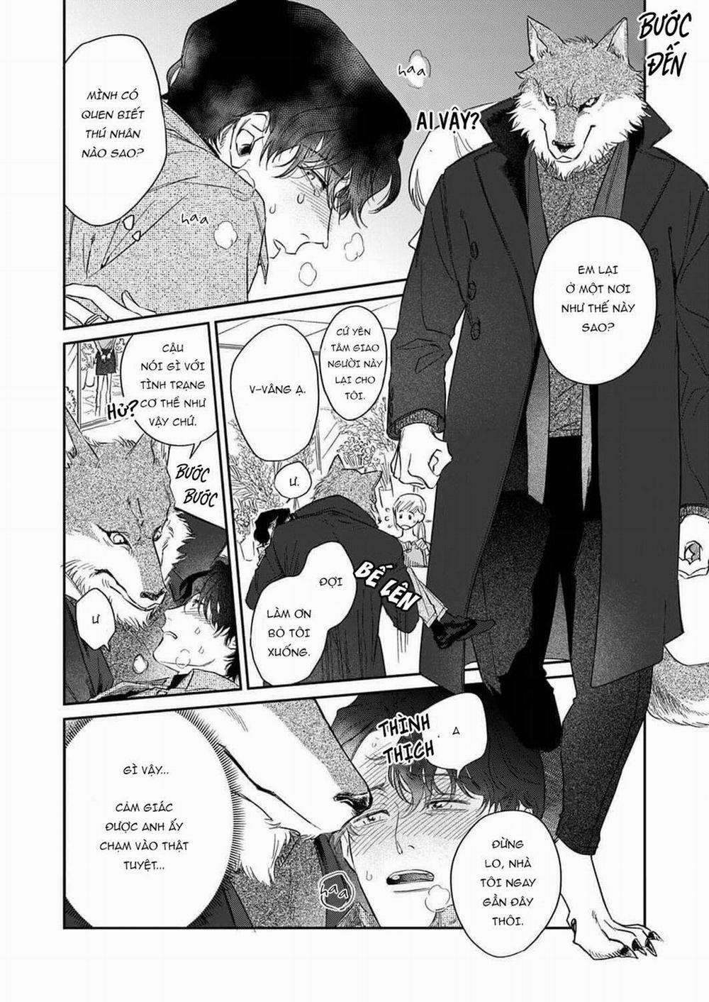 Ookami-sama no Ichizu na Bouai 1 trang 13