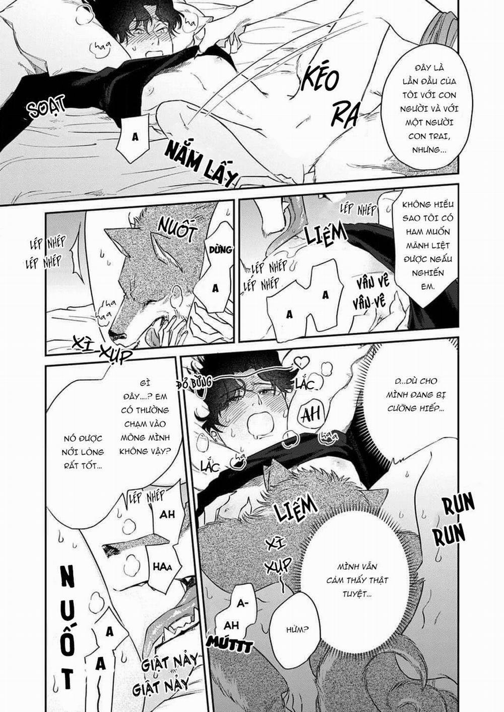 Ookami-sama no Ichizu na Bouai 1 trang 16