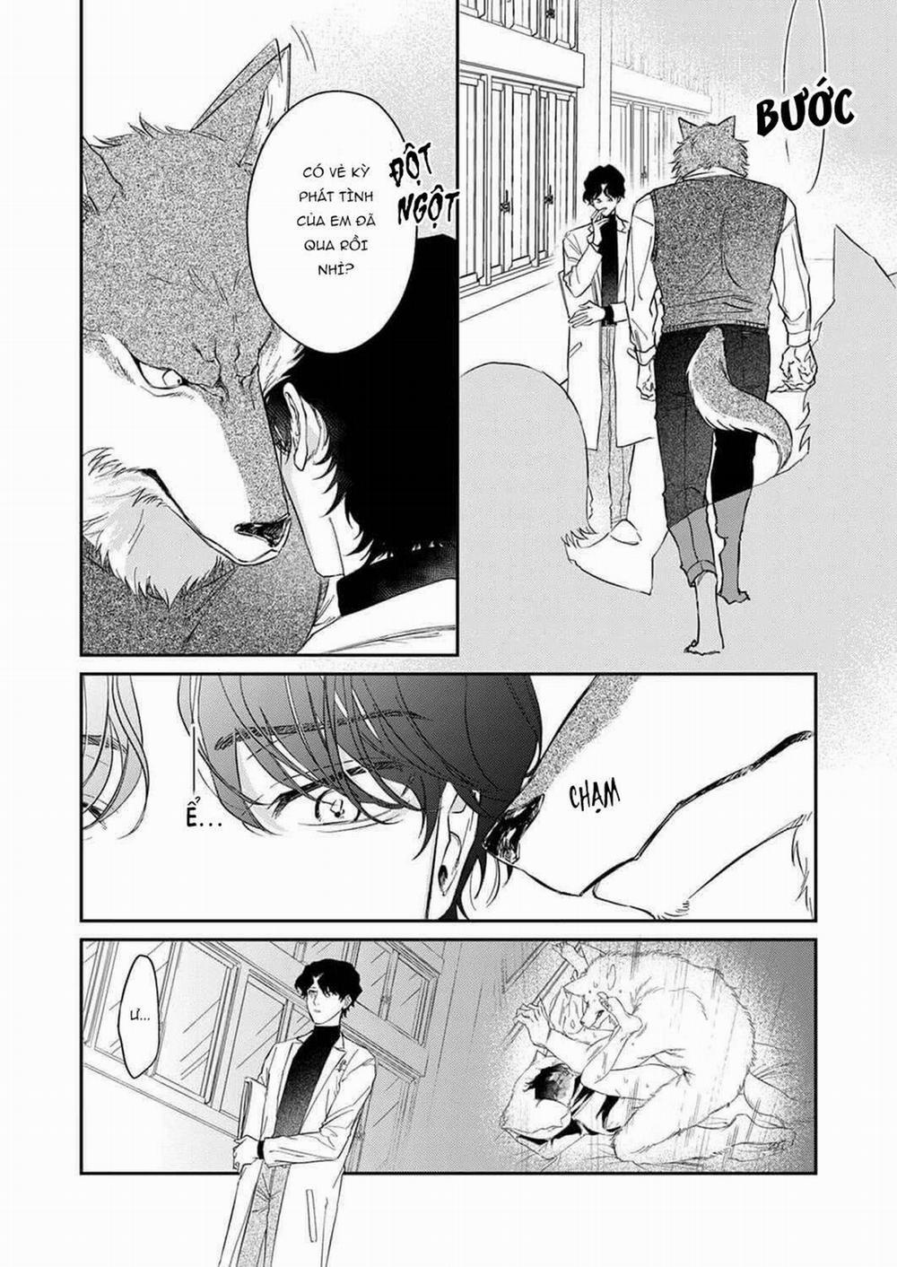 Ookami-sama no Ichizu na Bouai 1 trang 26