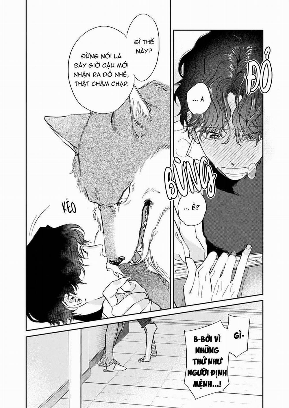 Ookami-sama no Ichizu na Bouai 2 trang 15