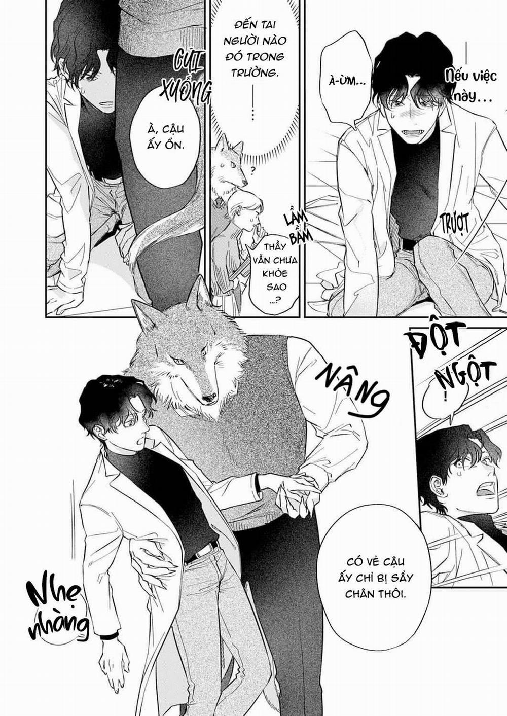 Ookami-sama no Ichizu na Bouai 2 trang 3