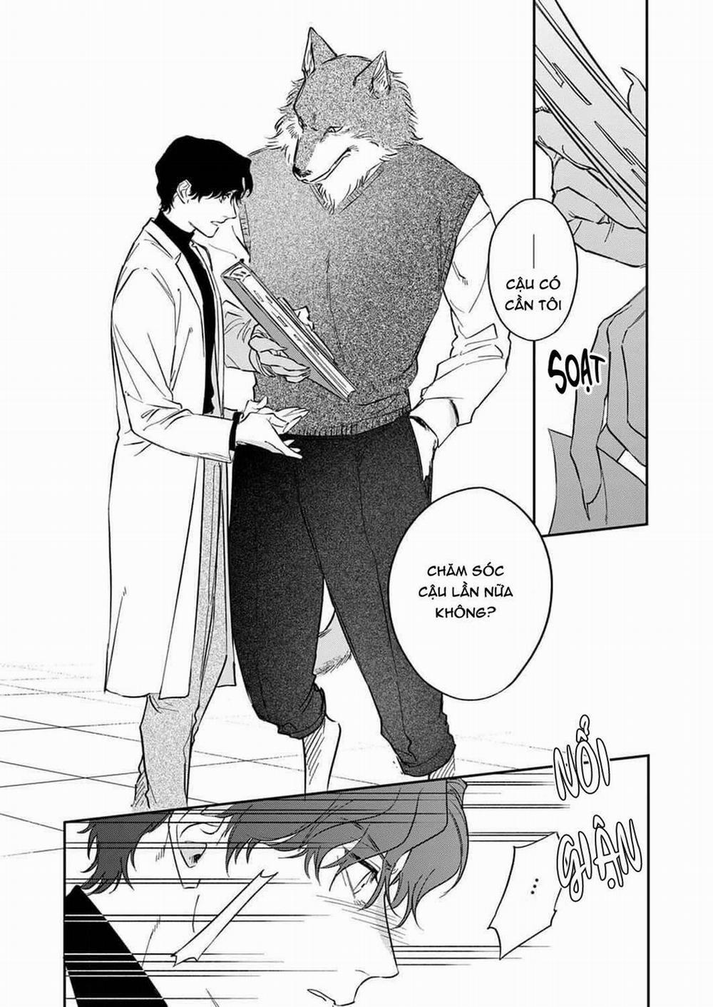 Ookami-sama no Ichizu na Bouai 2 trang 6