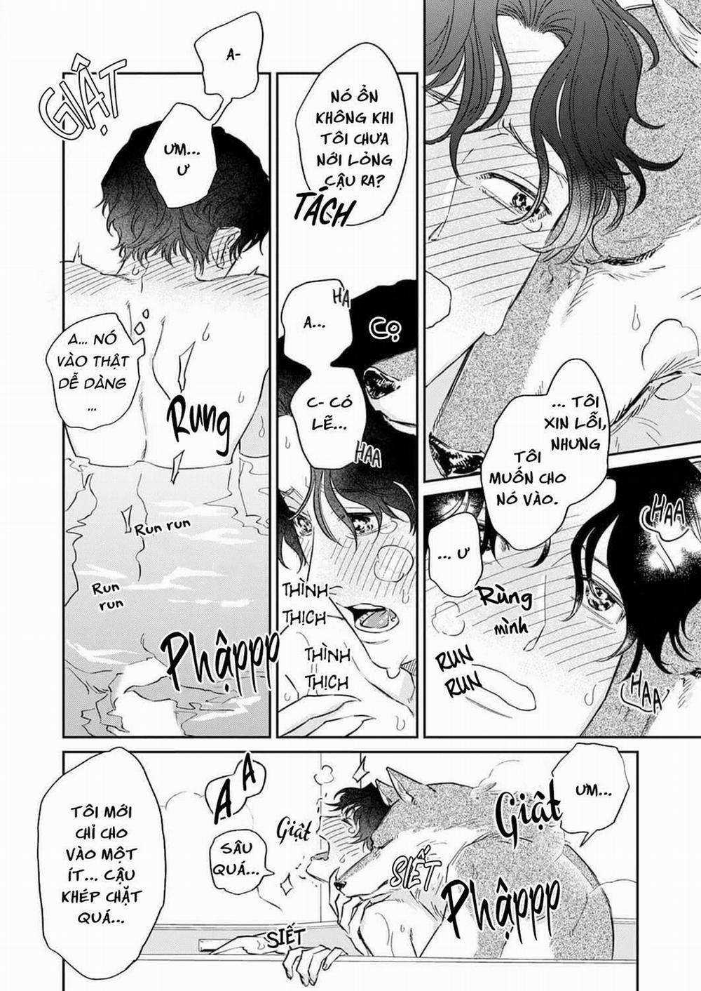 Ookami-sama no Ichizu na Bouai 3 trang 24