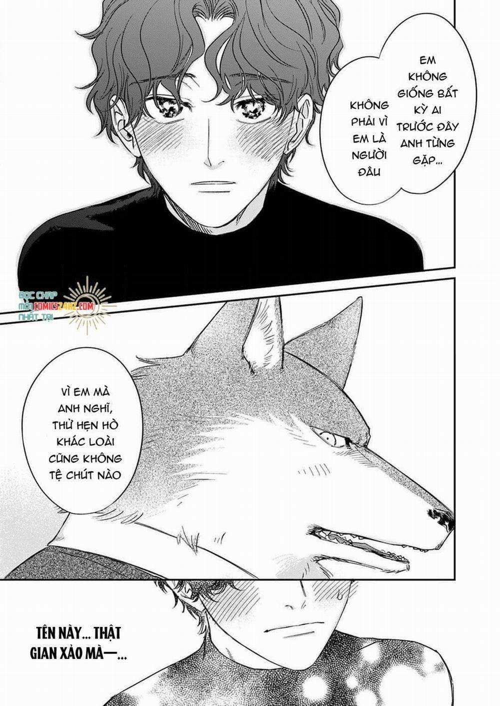 Ookami-sama no Ichizu na Bouai 4 trang 12