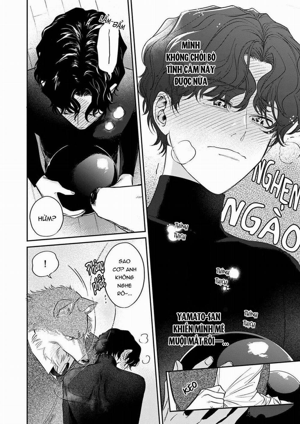 Ookami-sama no Ichizu na Bouai 4 trang 13
