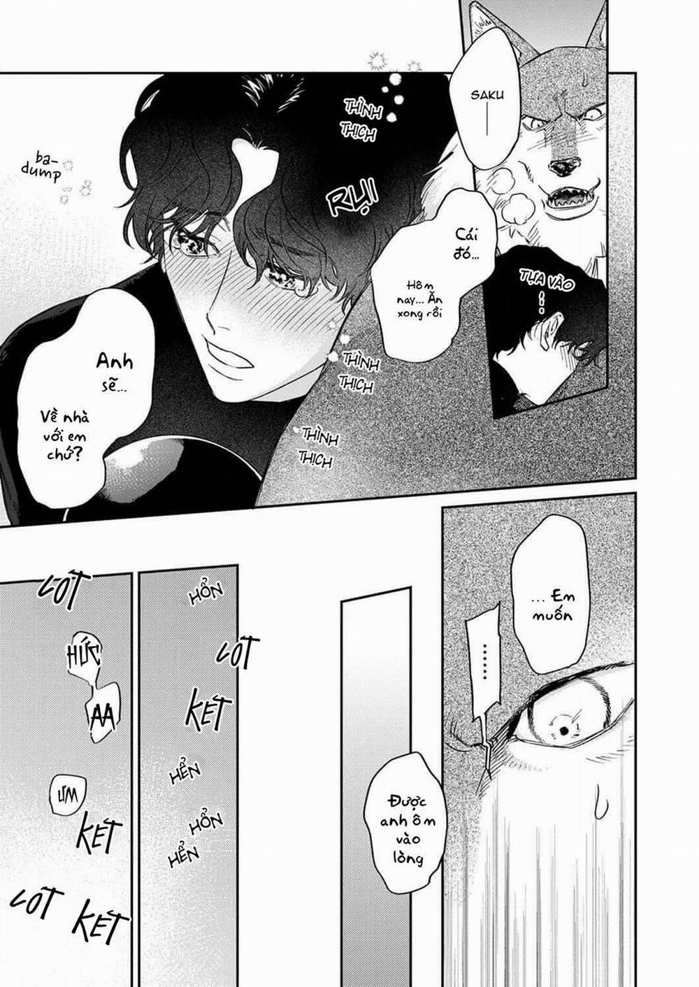 Ookami-sama no Ichizu na Bouai 4 trang 14