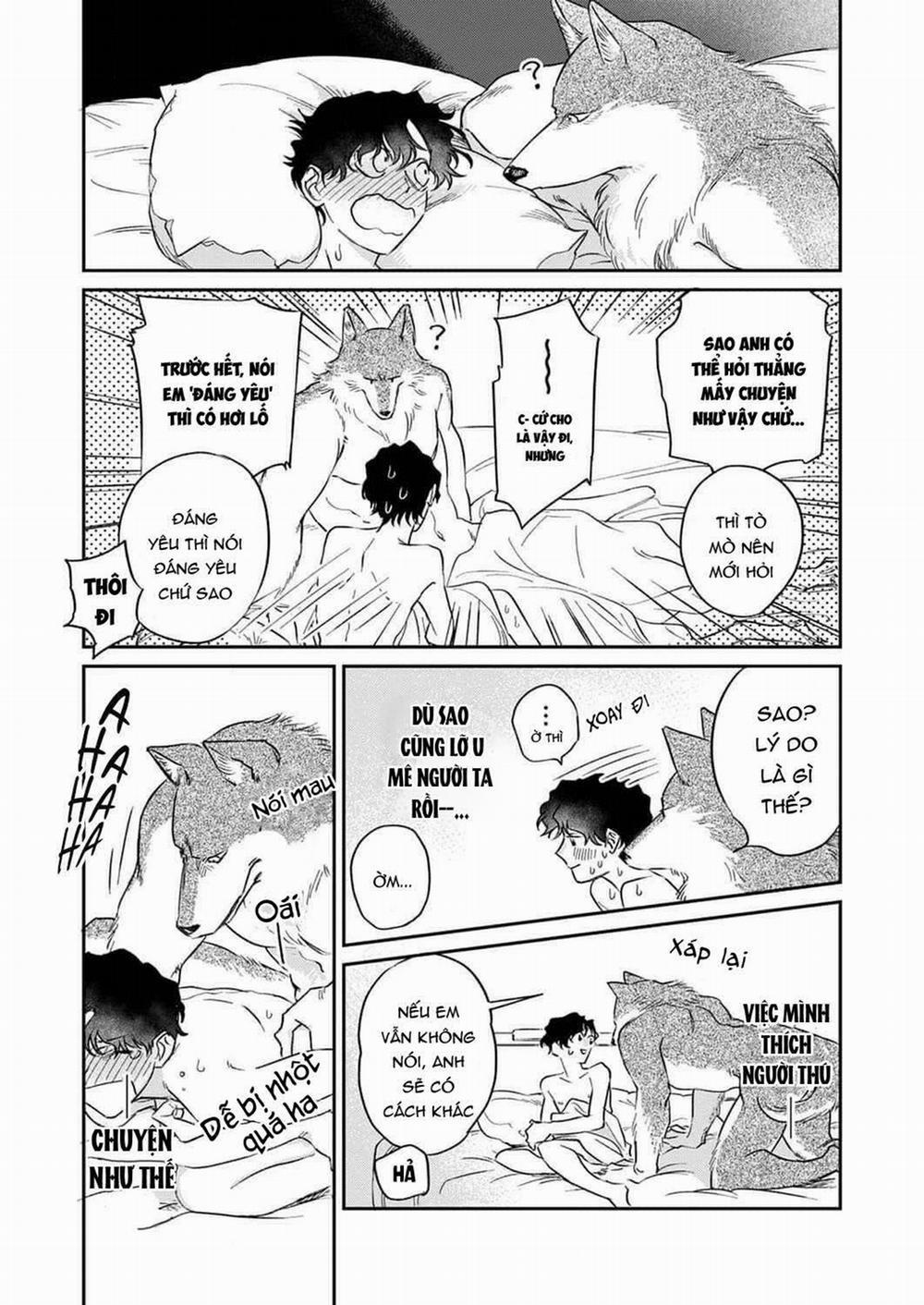 Ookami-sama no Ichizu na Bouai 4 trang 19