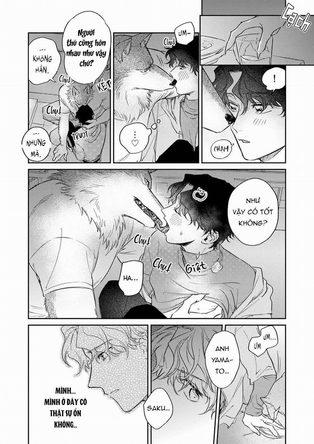 Ookami-sama no Ichizu na Bouai 5 trang 15