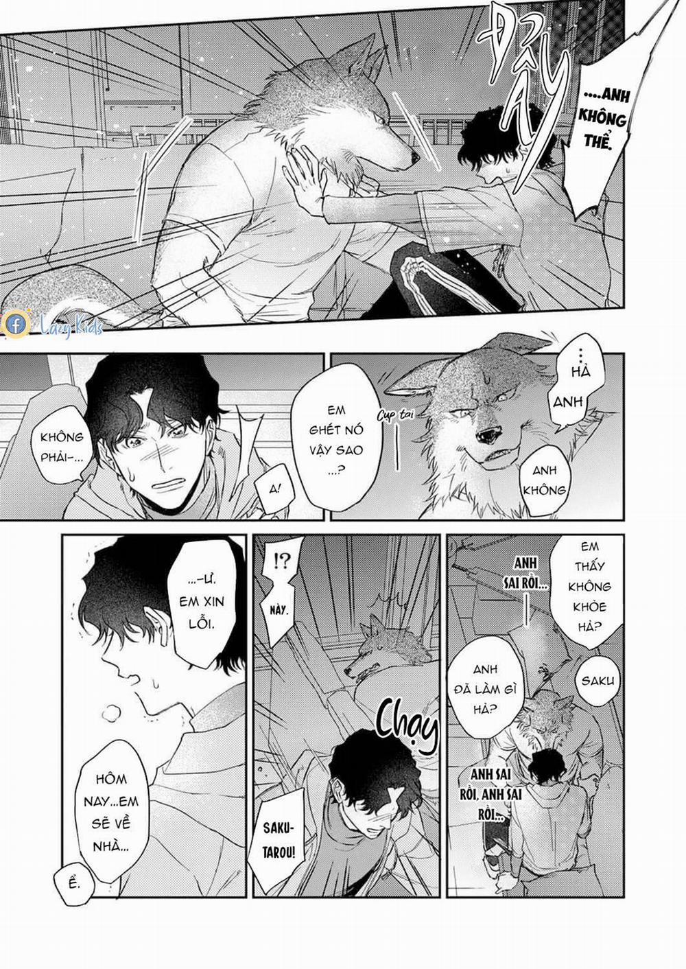 Ookami-sama no Ichizu na Bouai 5 trang 16