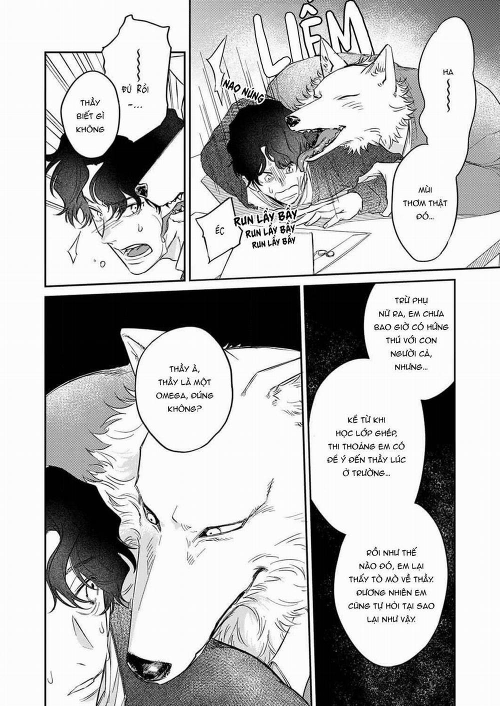 Ookami-sama no Ichizu na Bouai 6 trang 2