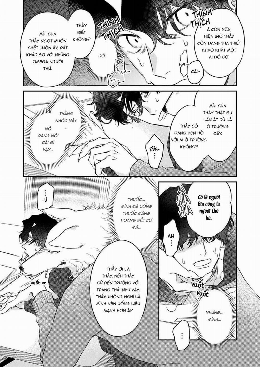 Ookami-sama no Ichizu na Bouai 6 trang 3