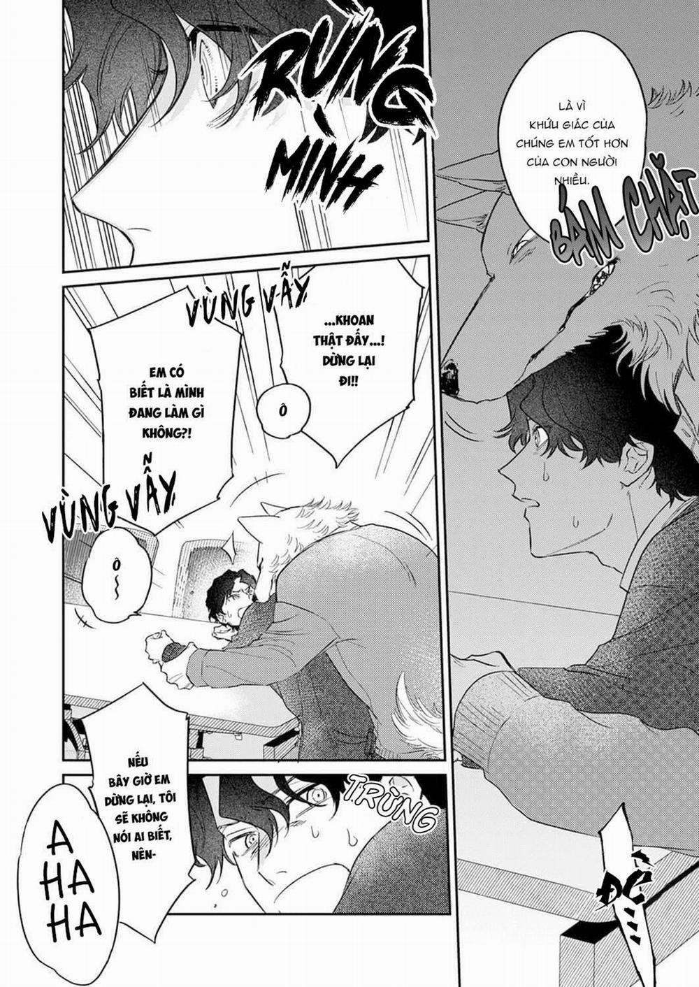 Ookami-sama no Ichizu na Bouai 6 trang 4