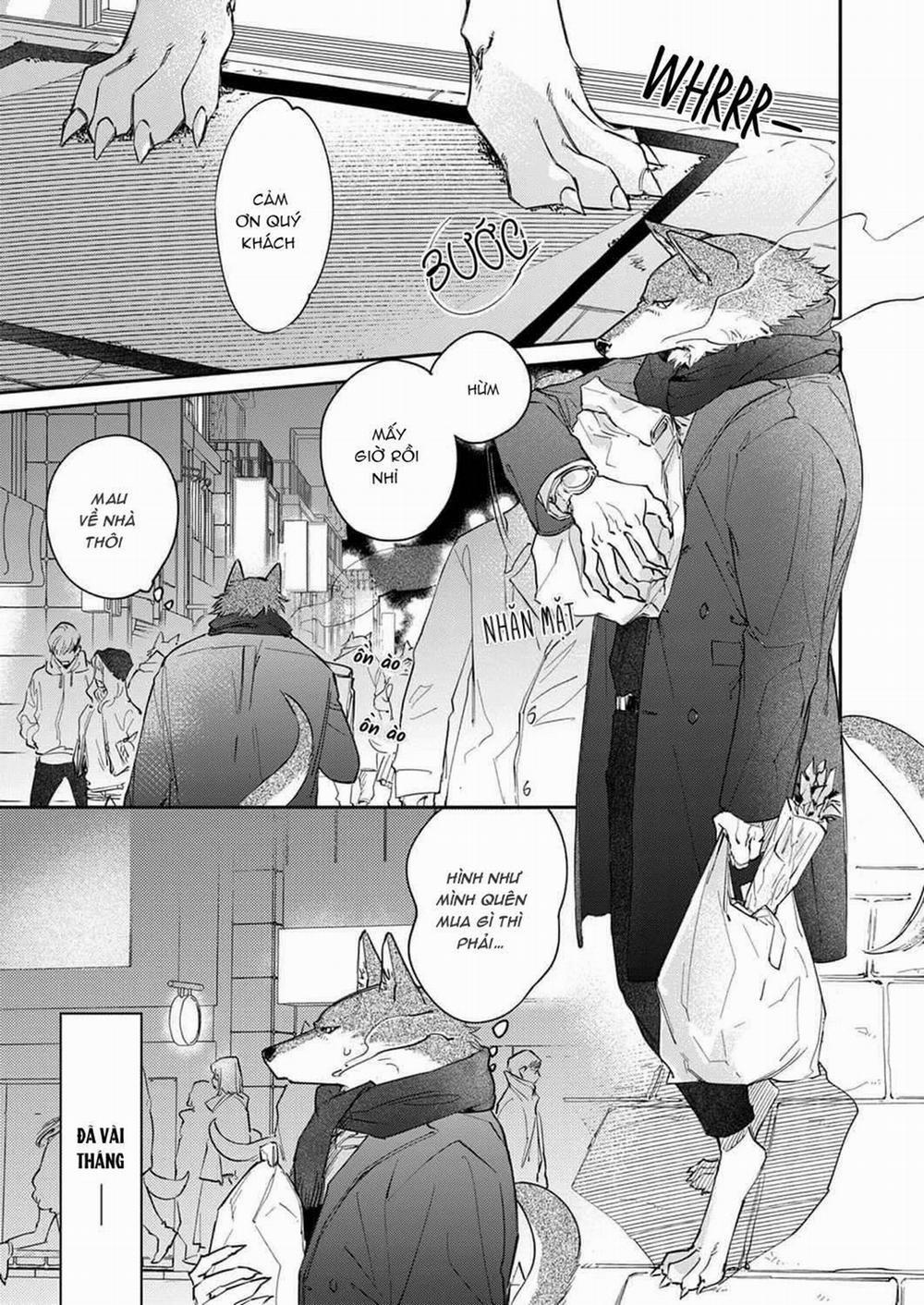 Ookami-sama no Ichizu na Bouai 7 trang 0