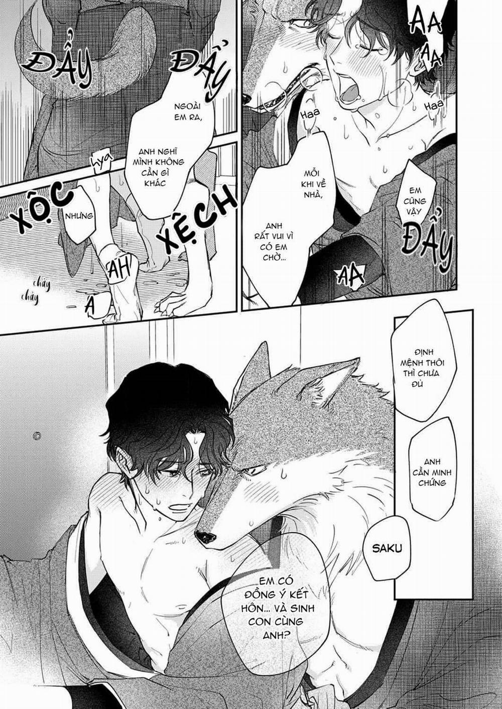 Ookami-sama no Ichizu na Bouai 7 trang 21