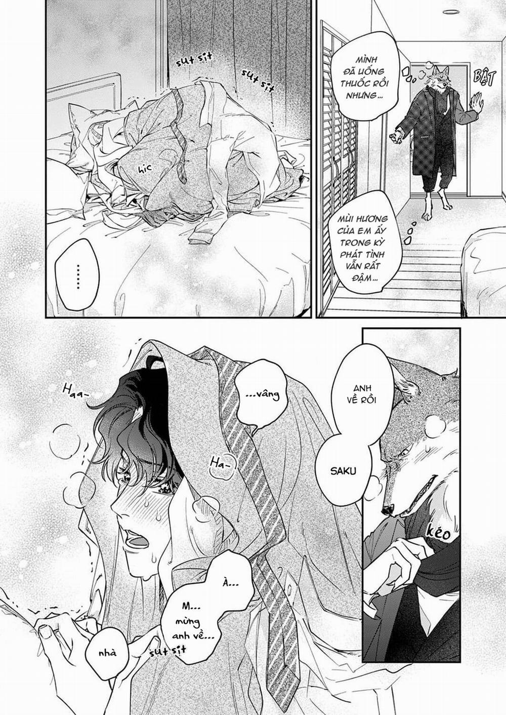 Ookami-sama no Ichizu na Bouai 7 trang 3