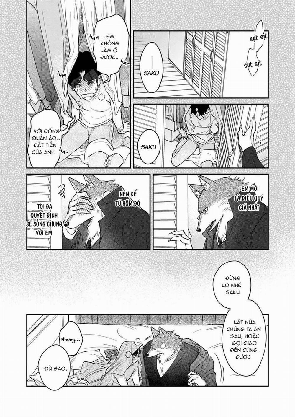 Ookami-sama no Ichizu na Bouai 7 trang 5