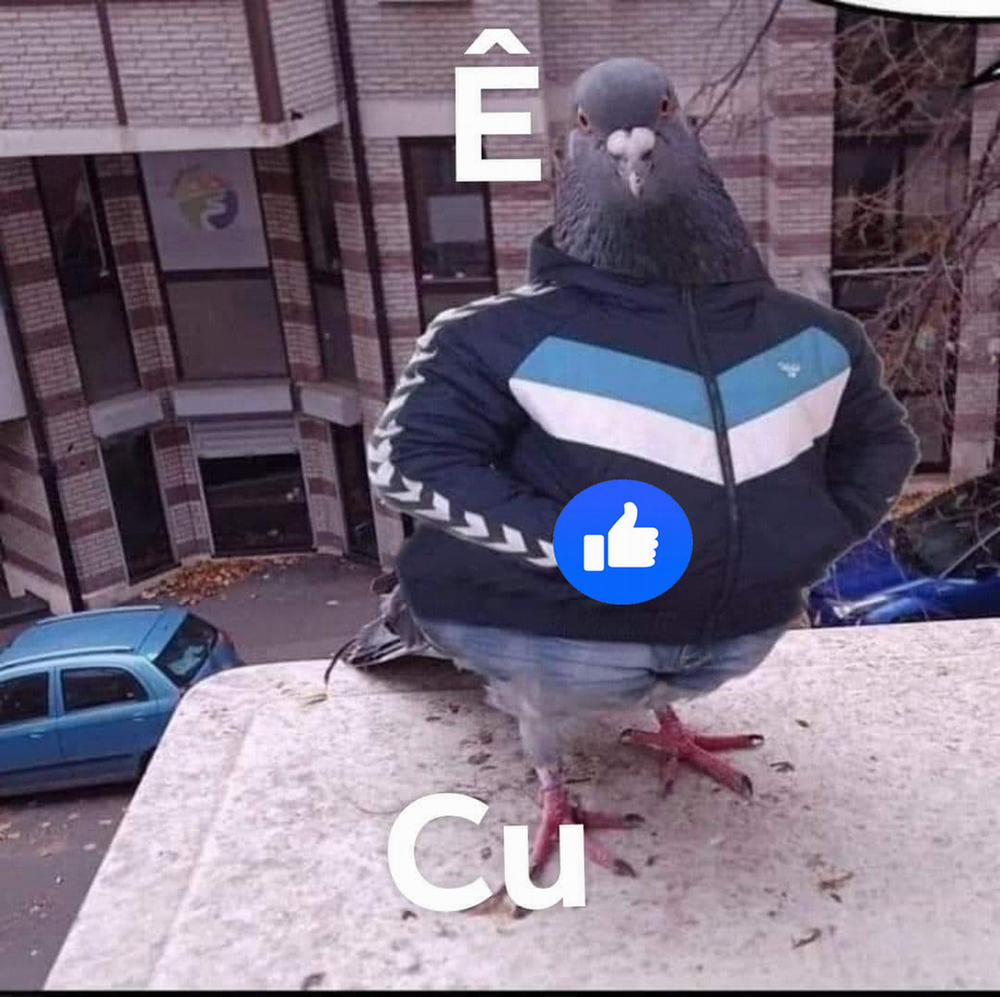 Ore no Douki ga Onna datta Rashii(HUNTER X HUNTER) Oneshot nứng trang 31