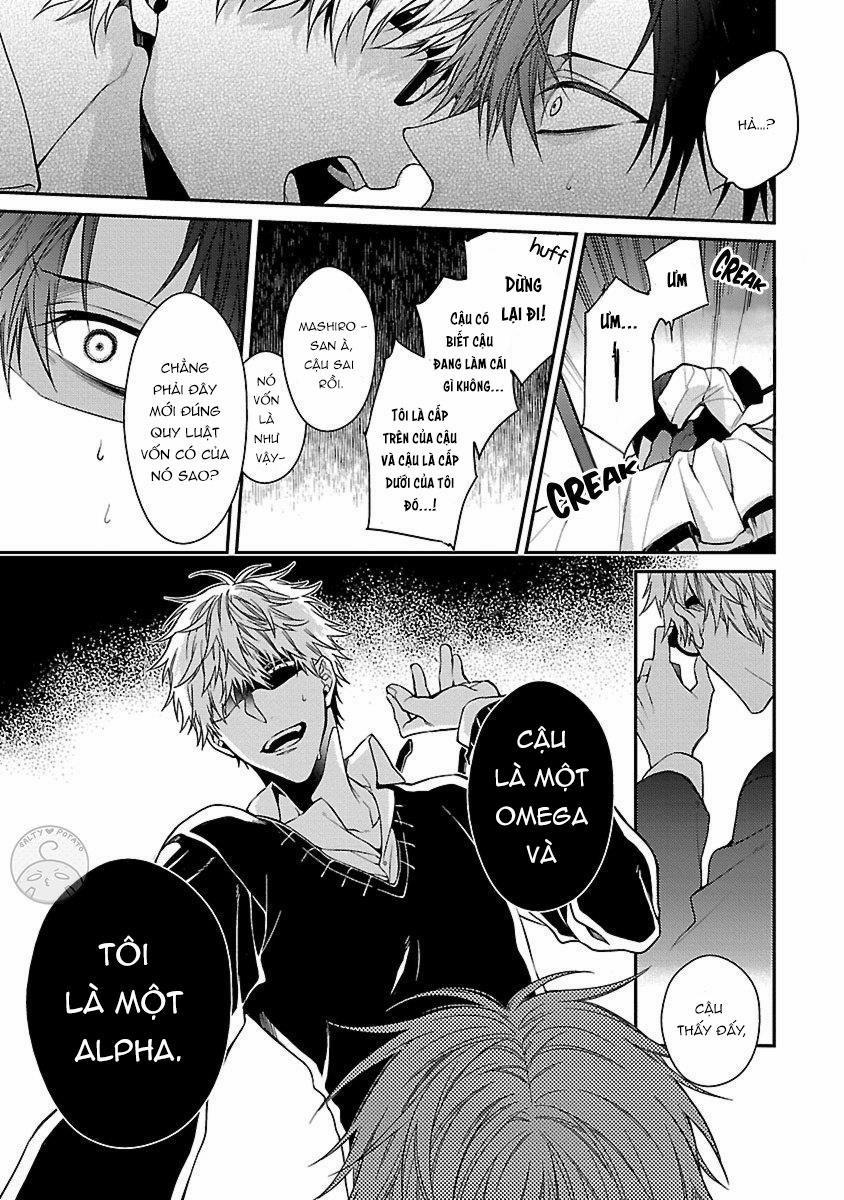 Ore no Kirai na Tsugaisama 1 trang 13