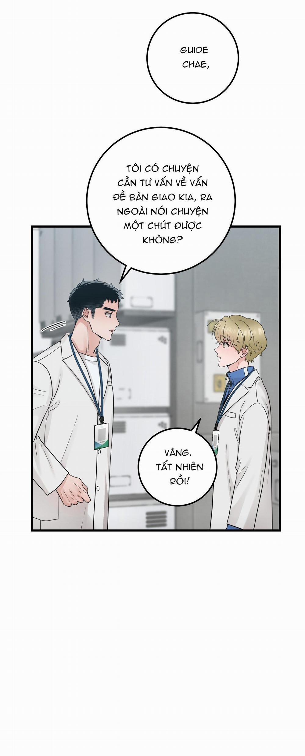 Over The Paradise 26 trang 12