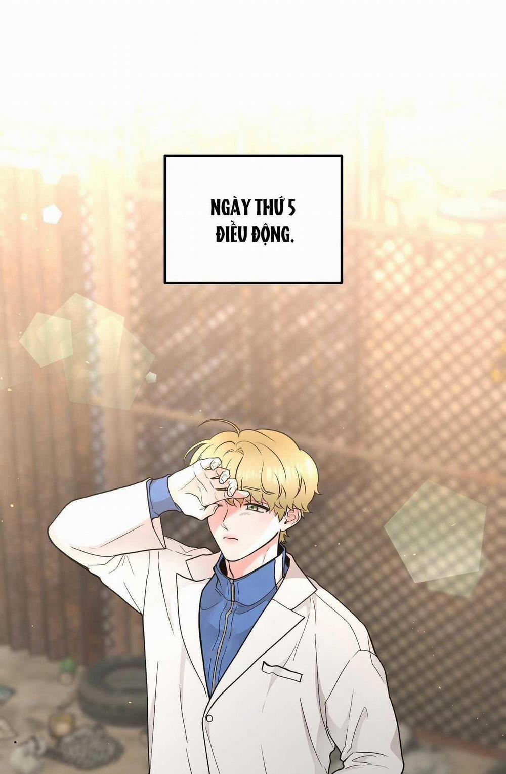 Over The Paradise 31 trang 1