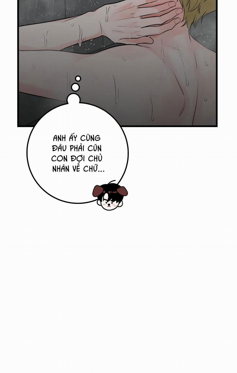 Over The Paradise 34 trang 14